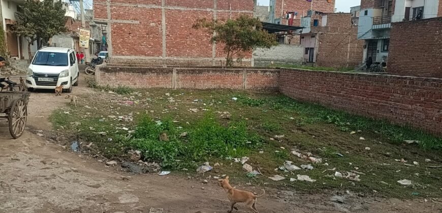 PLOTS  95 Sq. Yard L-Corner Plot for Sale in Roshan Nagar Faridabad HR