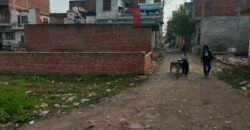 PLOTS  95 Sq. Yard L-Corner Plot for Sale in Roshan Nagar Faridabad HR